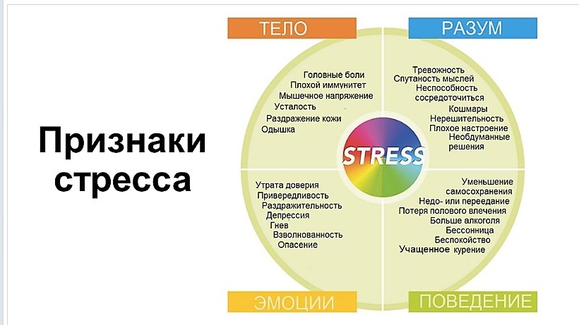 стрессу нет